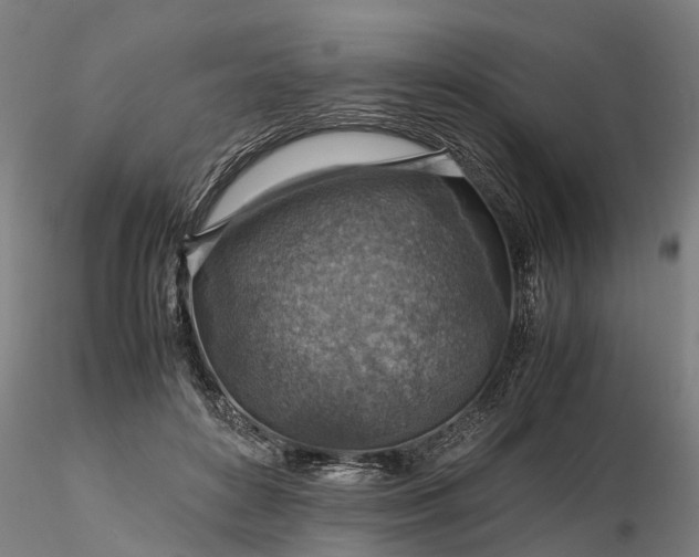 X0000116350504200912151355