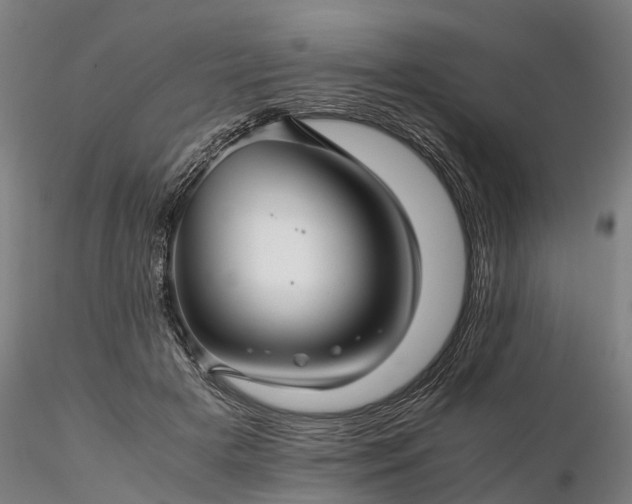 X0000116350505200912151355