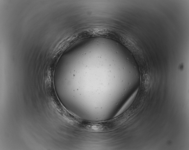 X0000116350506200912151355