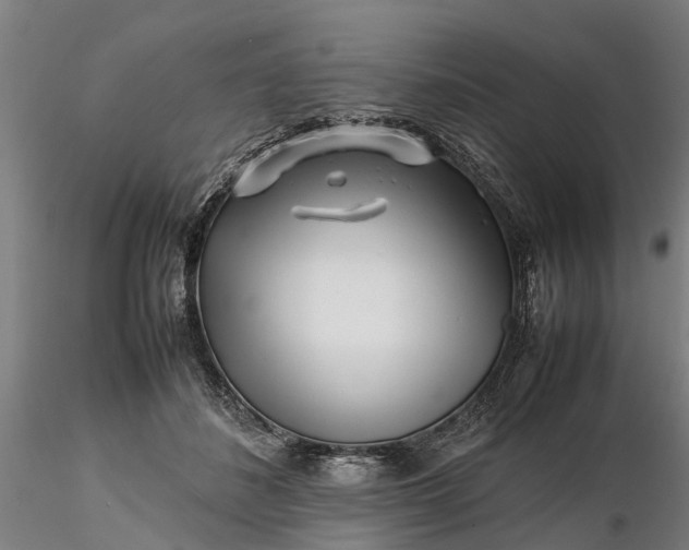 X0000116350508200912151354