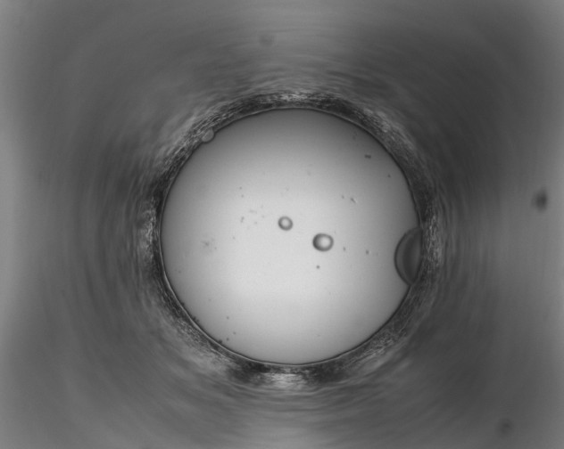 X0000116350509200912151354