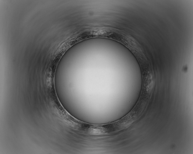 X0000116350510200912151354