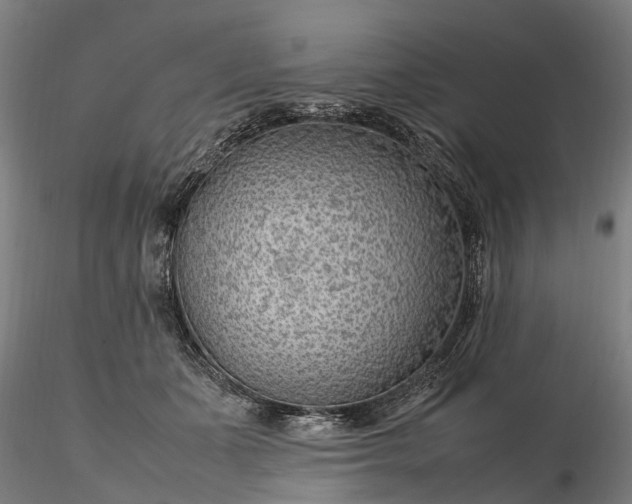 X0000116350511200912151354