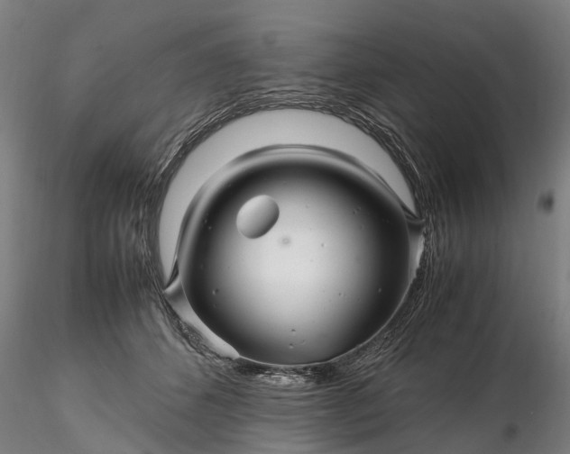 X0000116350512200912151354