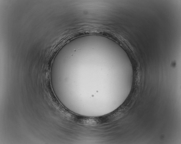 X0000116350513200912151354