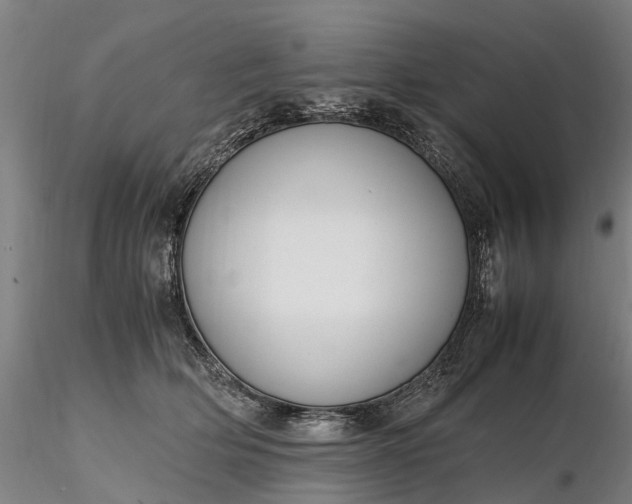 X0000116350514200912151354