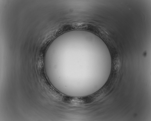 X0000116350515200912151354