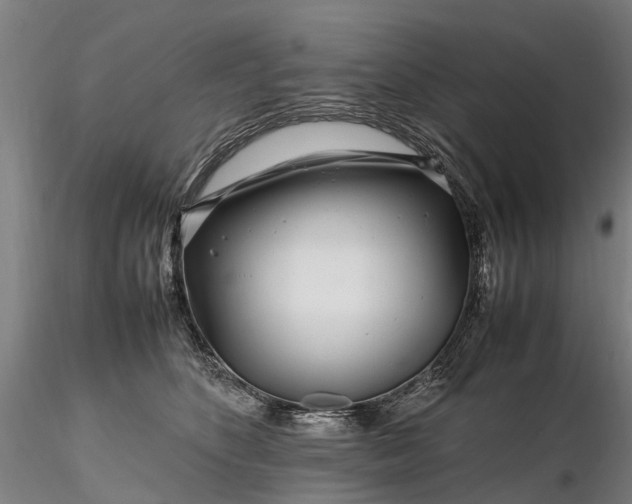 X0000116350516200912151354