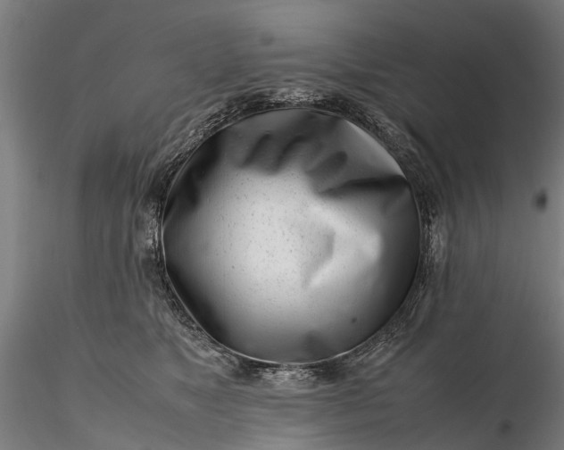 X0000116350517200912151354