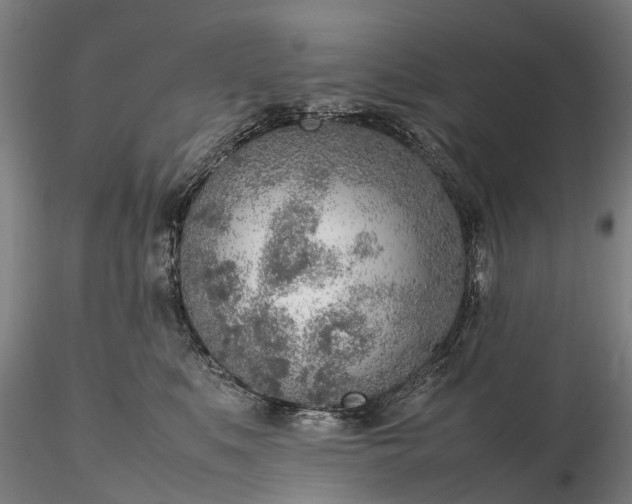 X0000116350519200912151354