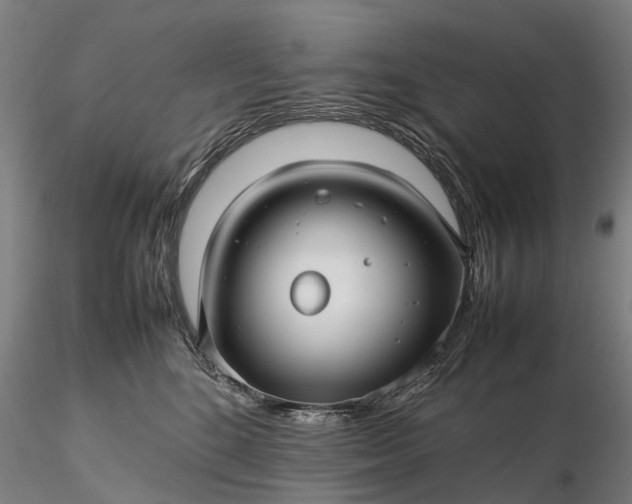 X0000116350520200912151354