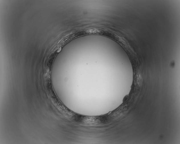 X0000116350521200912151354