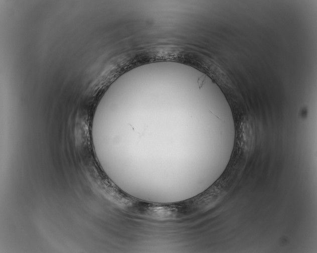 X0000116350522200912151354