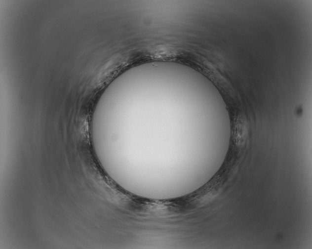 X0000116350523200912151354