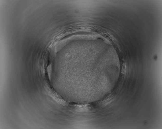 X0000116350524200912151354