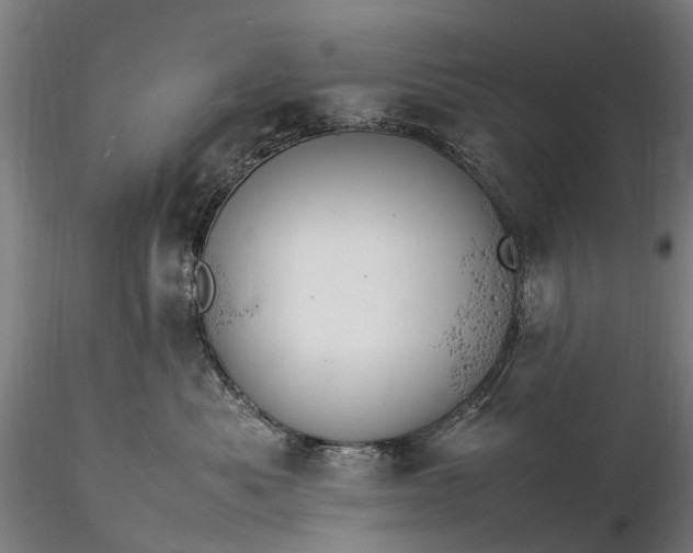 X0000116350525200912151354