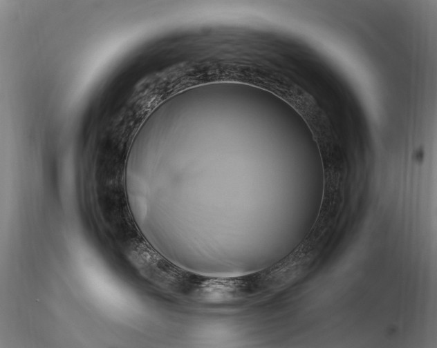 X0000116350526200912151354