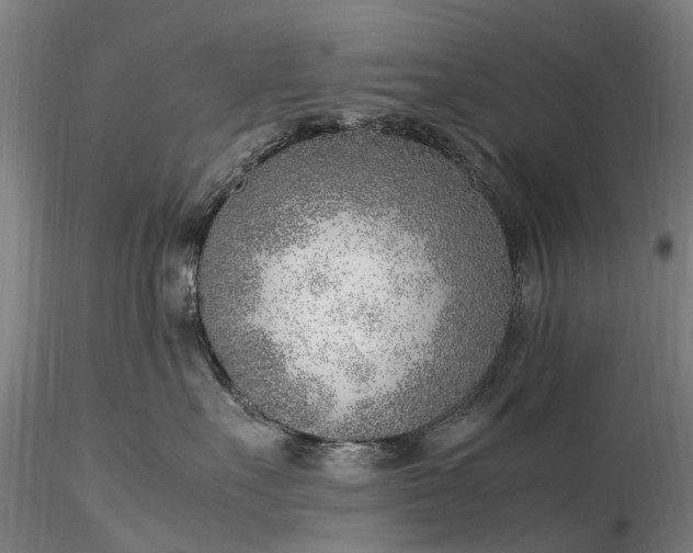 X0000116350527200912151354