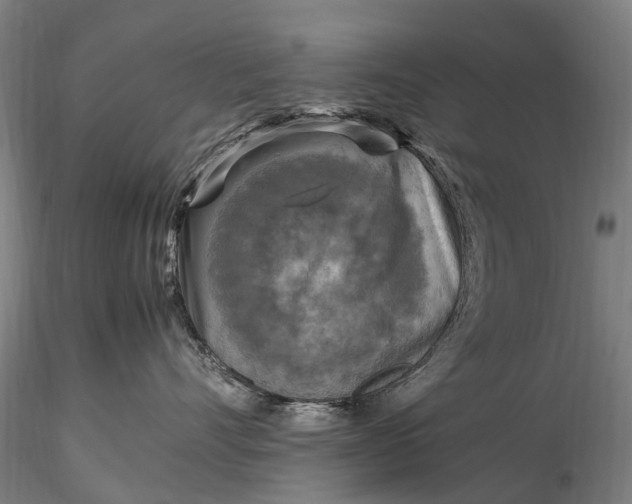 X0000116350528200912151354