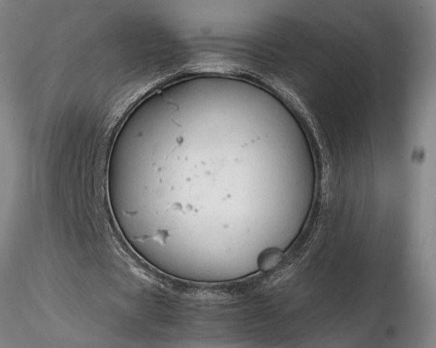 X0000116350529200912151354