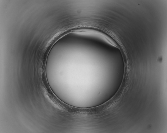 X0000116350530200912151354