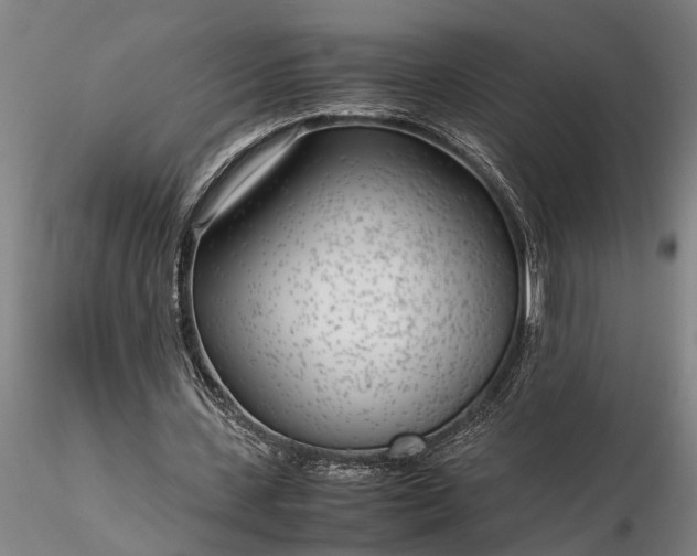 X0000116350531200912151354