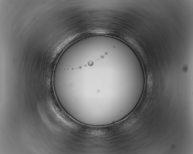 X0000116350533200912151354