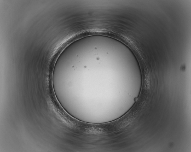 X0000116350535200912151354