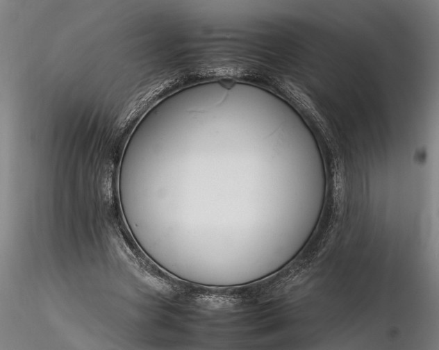 X0000116350537200912151354