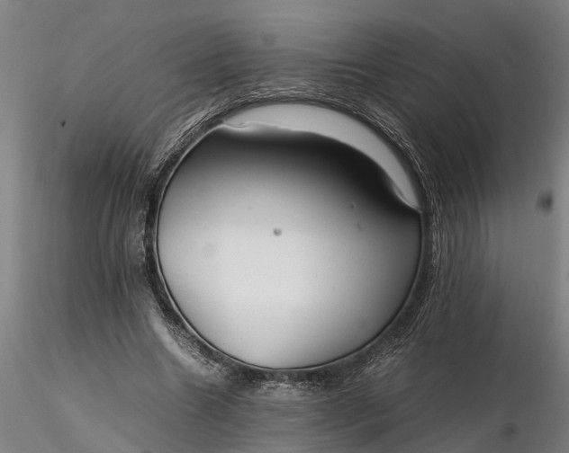 X0000116350538200912151354