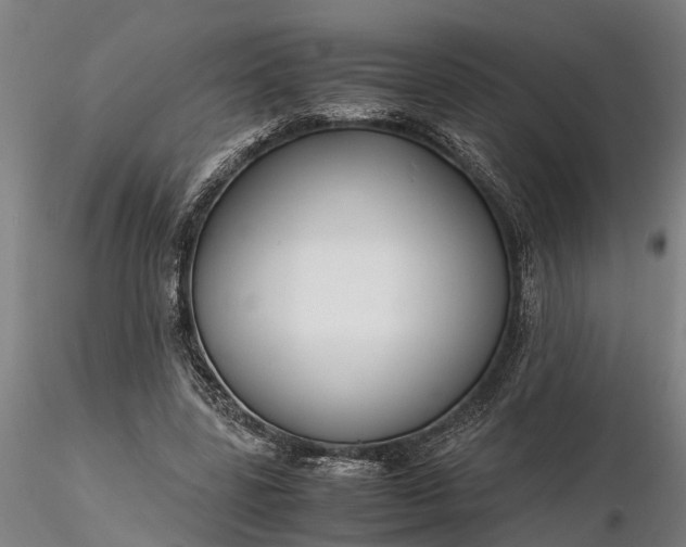 X0000116350539200912151354