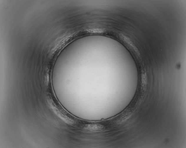 X0000116350541200912151354