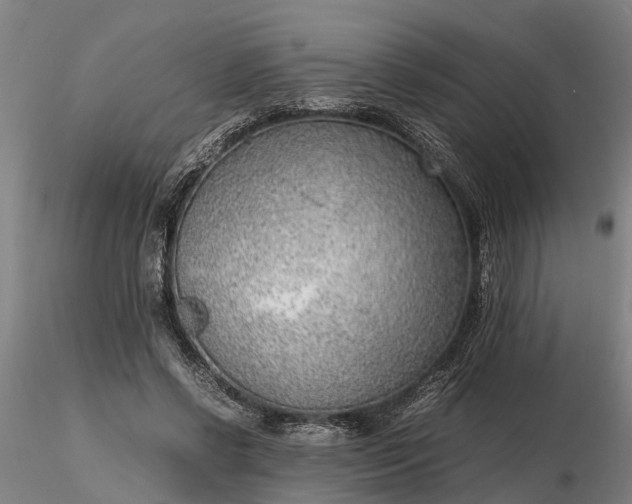 X0000116350542200912151354