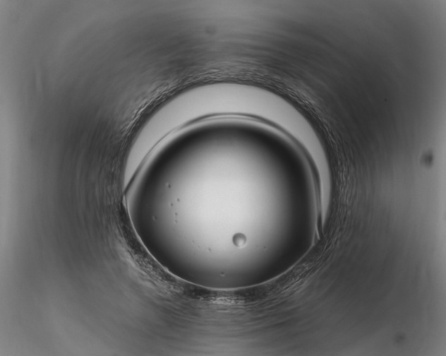 X0000116350546200912151354