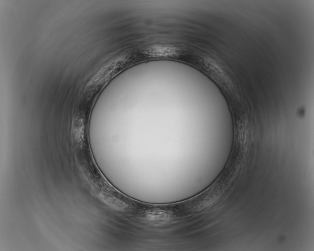 X0000116350549200912151354