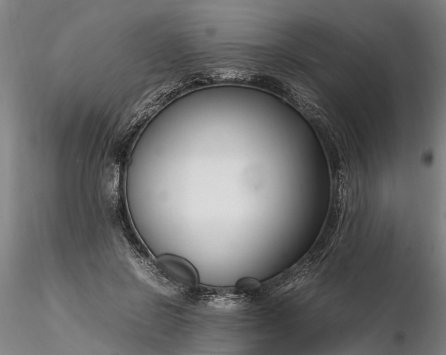 X0000116350550200912151354