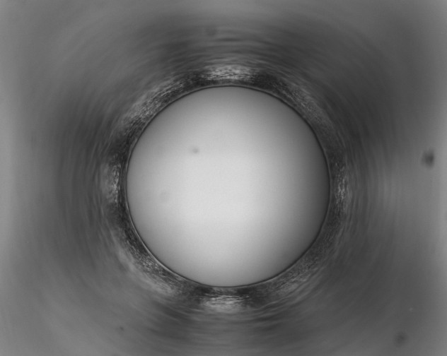 X0000116350551200912151354