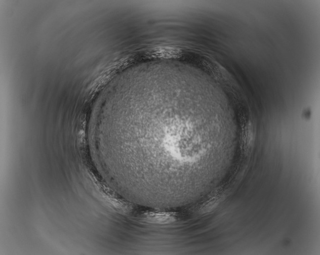 X0000116350553200912151354