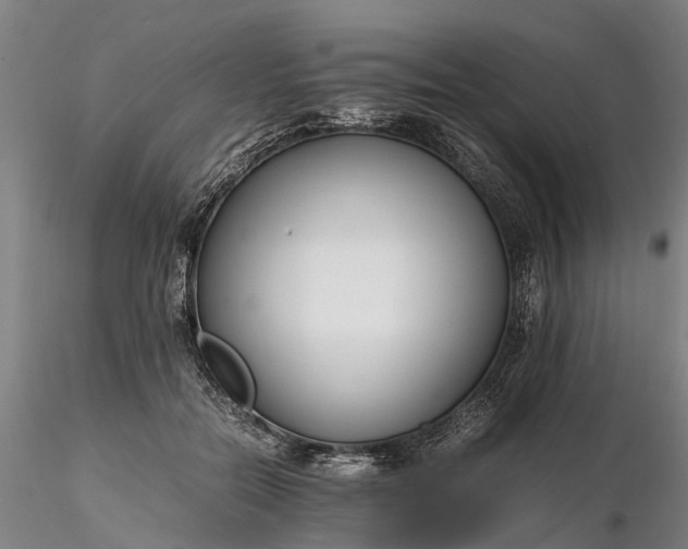 X0000116350554200912151354