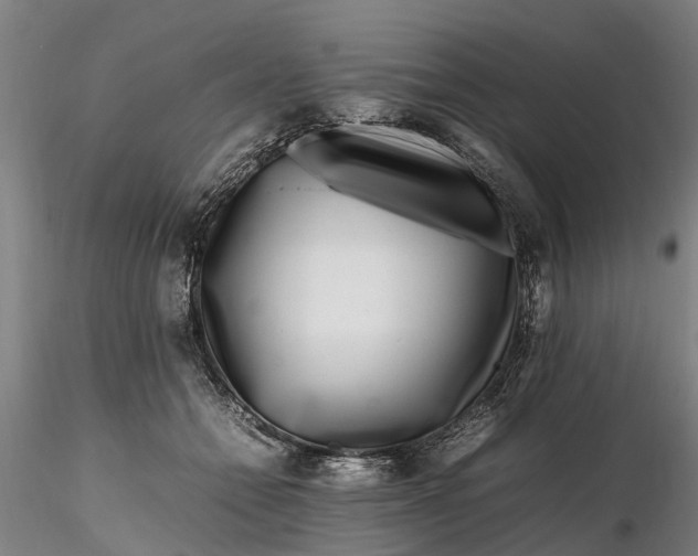 X0000116350558200912151354