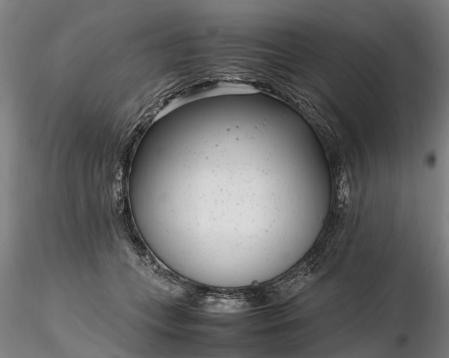 X0000116350559200912151354