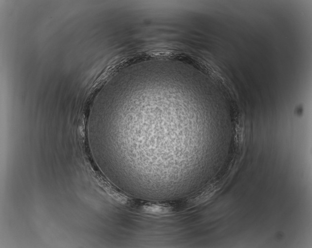 X0000116350561200912151354