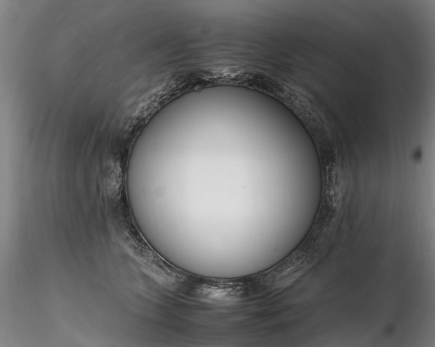 X0000116350563200912151354