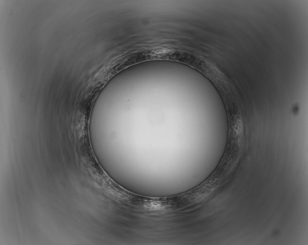 X0000116350565200912151354