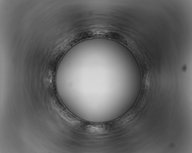 X0000116350567200912151354