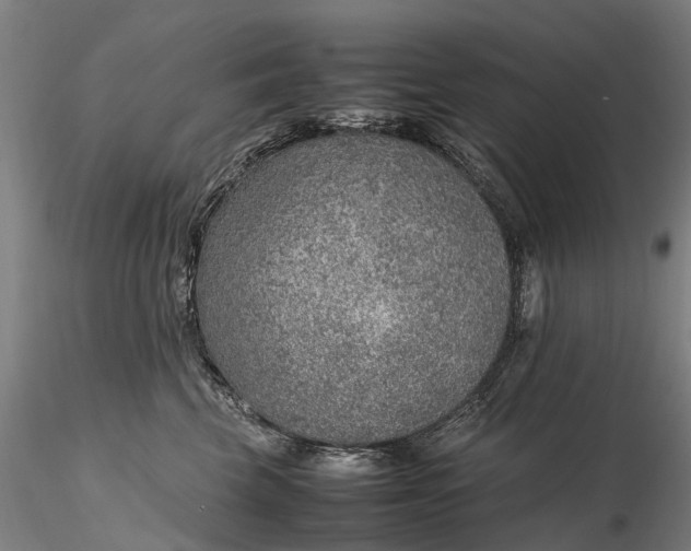 X0000116350569200912151354