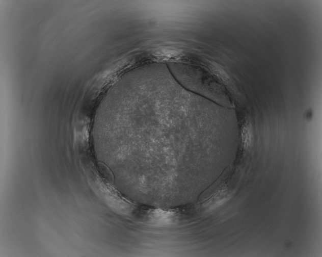 X0000116350570200912151354