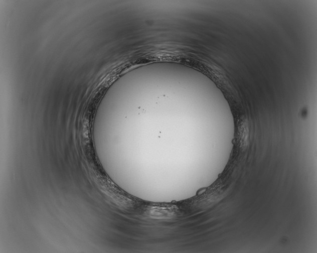 X0000116350571200912151354