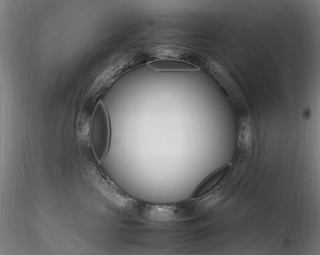 X0000116350573200912151354