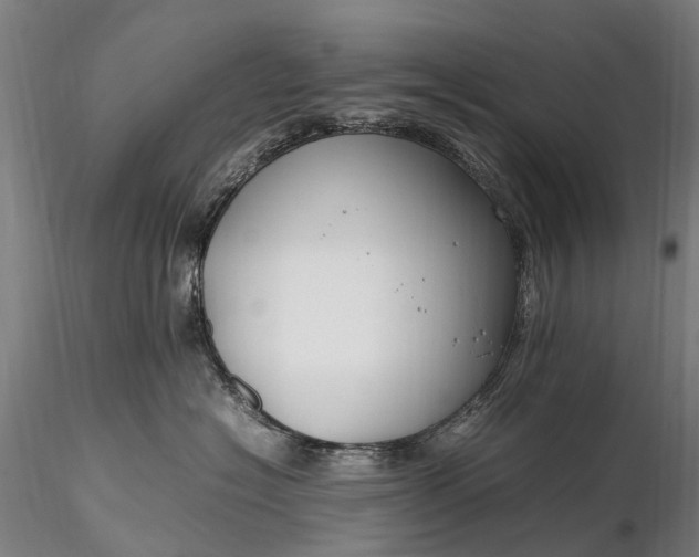 X0000116350574200912151354